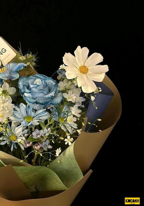 nhanh hoa dai buon ba