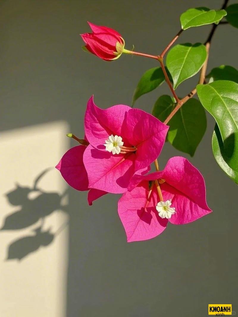nhành hoa nở trong gió