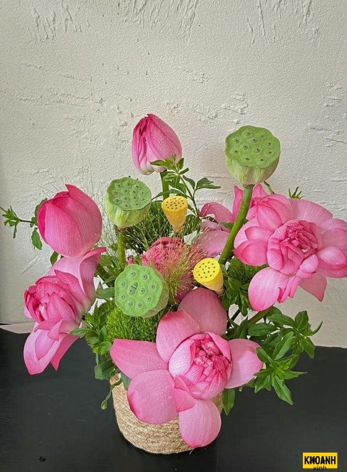 nhành sen hồng mỏng manh