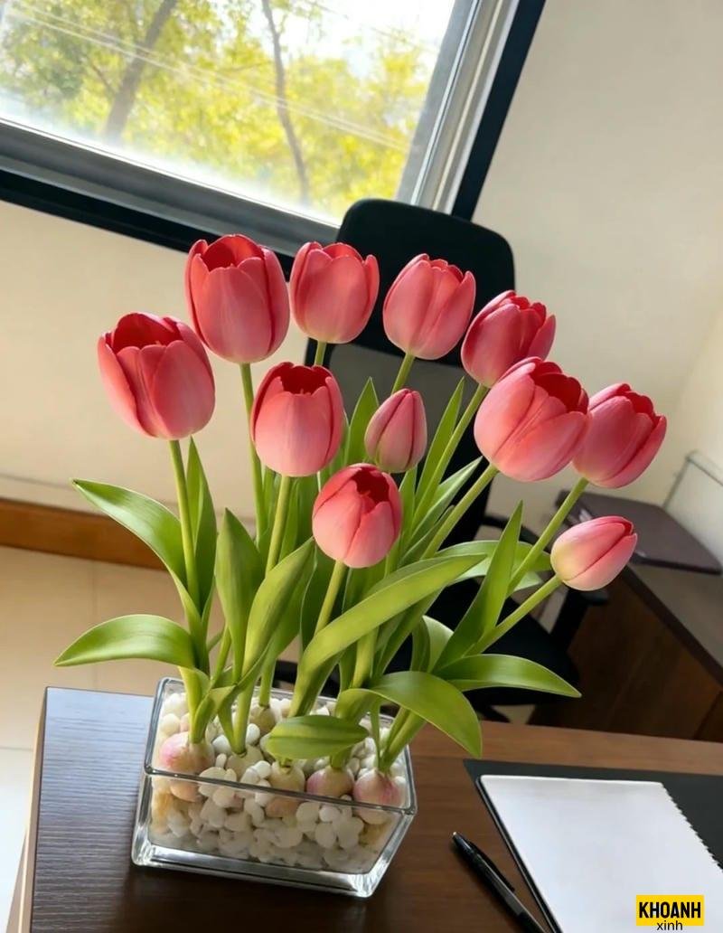 nhành tulip đơn giản đẹp