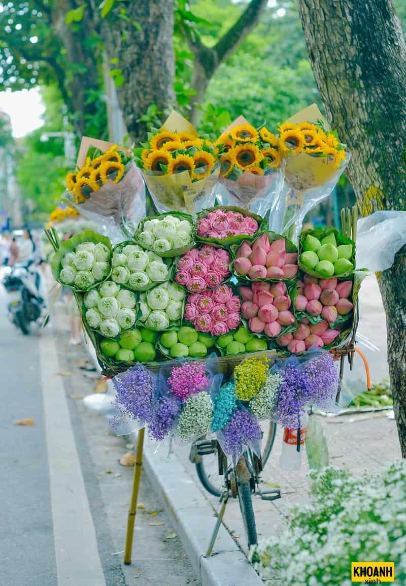 sắc hoa mùa thu hd