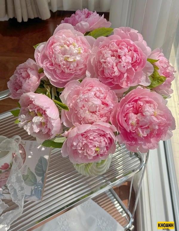 sac hong hoa mau don