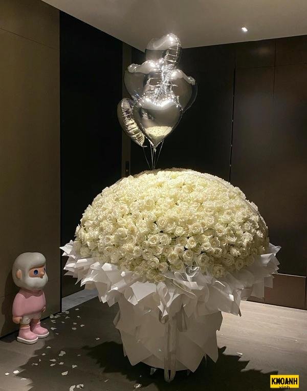 sắc trắng hoa hồng hd