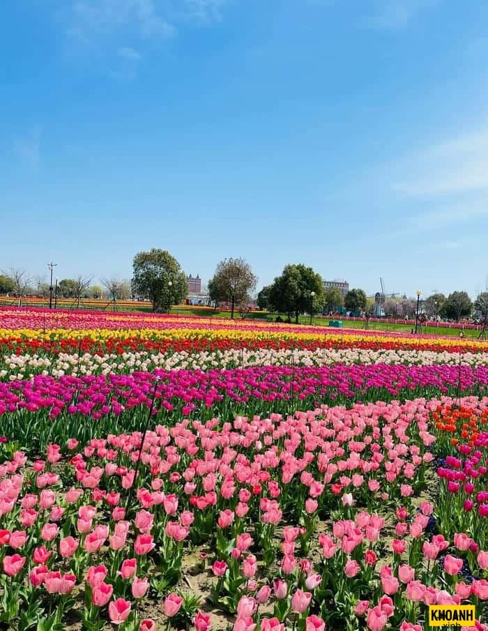 thung lũng hoa rực rỡ