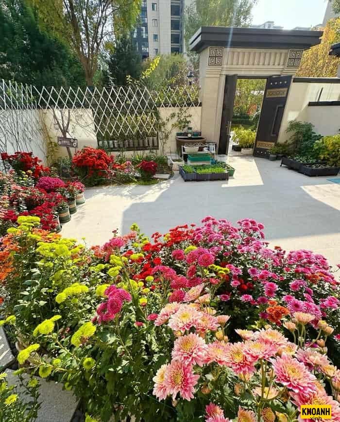 toan canh vuon hoa dep