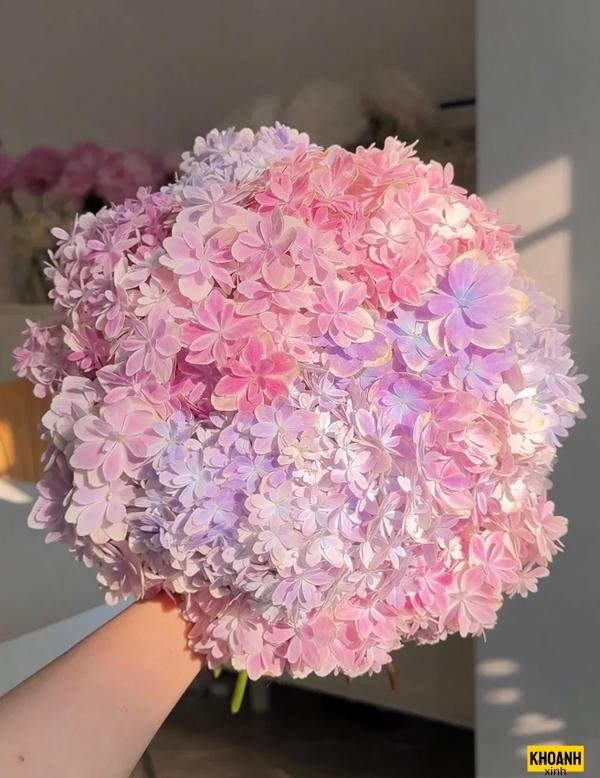 tú cầu hồng nhạt hd