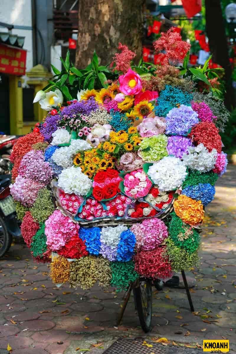 vẻ đẹp hoa thu hà nội
