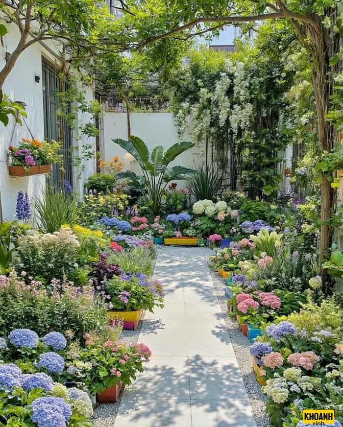 vuon hoa hong sang trong