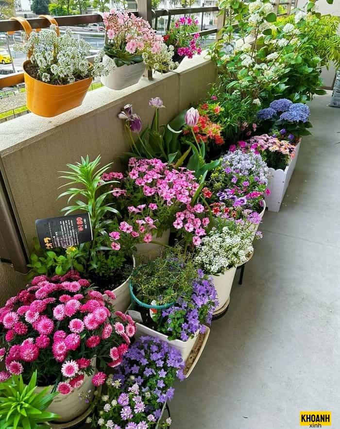 vuon hoa nghe thuat hd