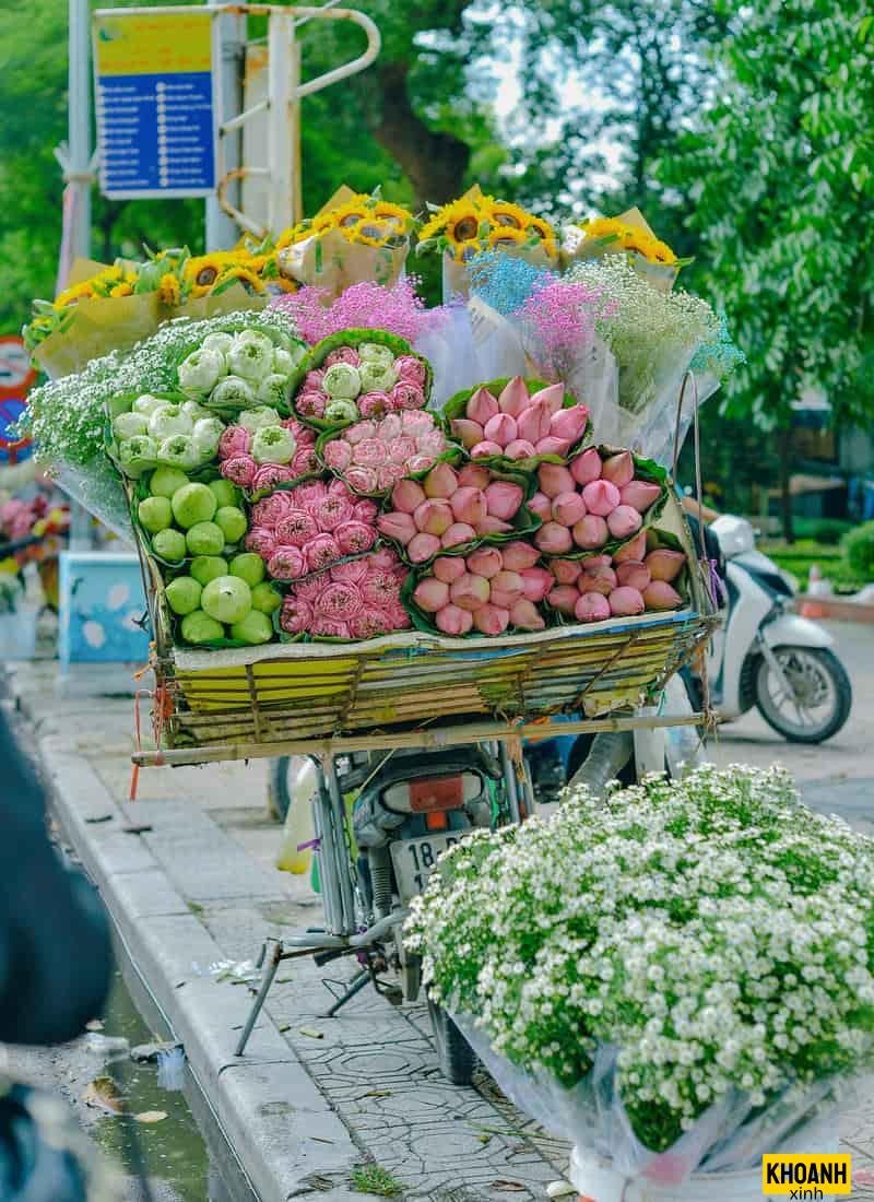 xe hoa mùa thu hà nội